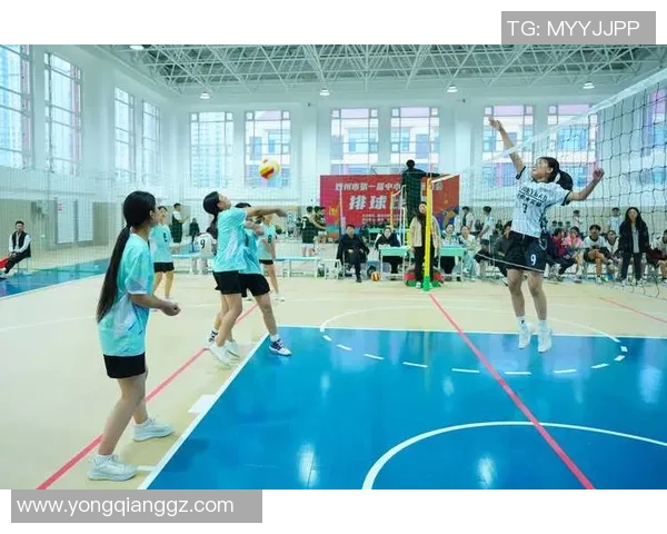 南京排球队战术创新引领潮流助力球队在排球赛场上崭露头角